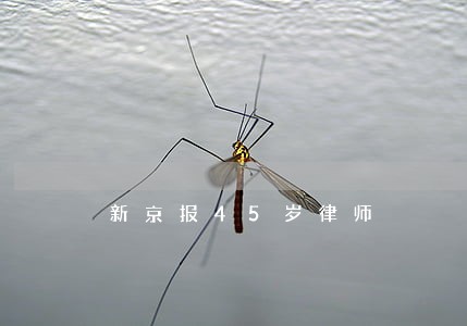 新京报45岁律师 新京报45岁律师