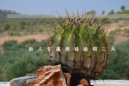 新人专属通道逾期三天 新人专属通道逾期三天