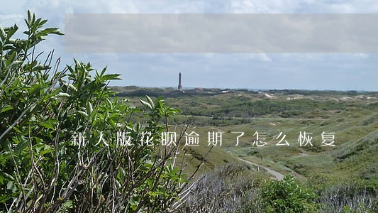 新人版花呗逾期了怎么恢复 新人版花呗逾期了怎么恢复