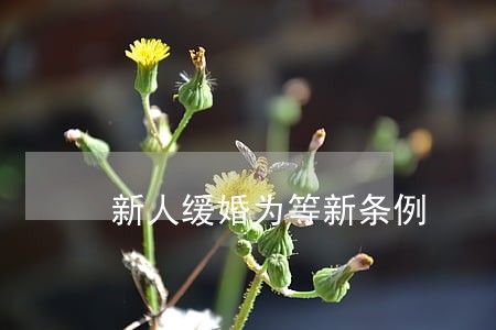 新人缓婚为等新条例 新人缓婚为等新条例