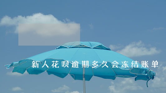新人花呗逾期多久会冻结账单 新人花呗逾期多久会冻结账单