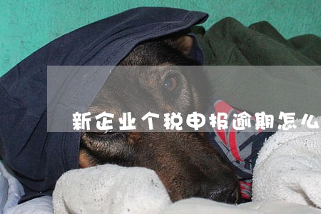新企业个税申报逾期怎么办 新企业个税申报逾期怎么办