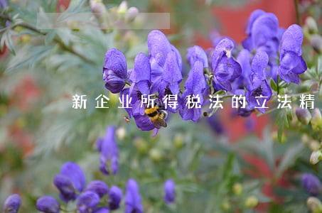 新企业所得税法的立法精神 新企业所得税法的立法精神