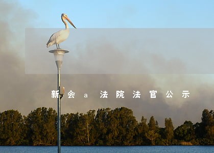 新会a法院法官公示 新会a法院法官公示