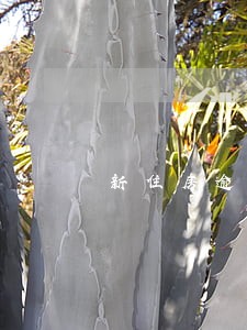 新住房逾期交有违约金吗 新住房逾期交有违约金吗