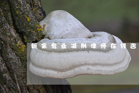 新余专业减刑律师在线咨询