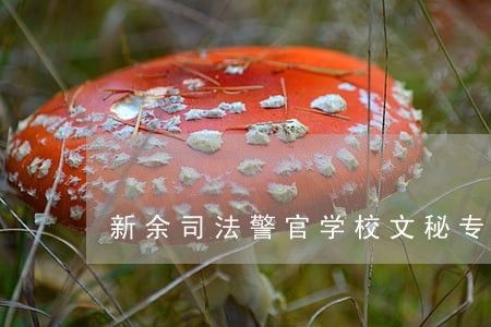 新余司法警官学校文秘专业 新余司法警官学校文秘专业