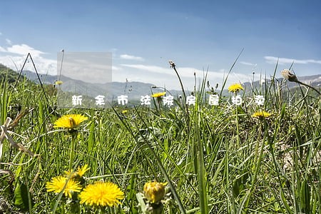 新余市法院房屋拍卖 新余市法院房屋拍卖