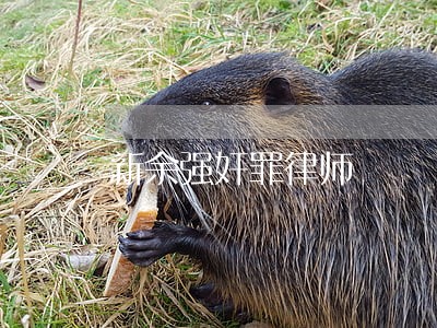 新余强奸罪律师 新余强奸罪律师