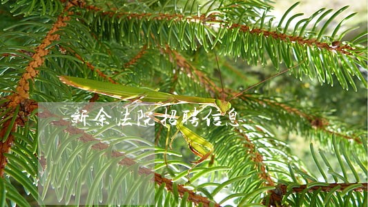 新余法院招聘信息