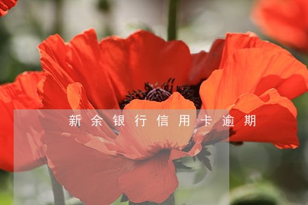 新余银行信用卡逾期