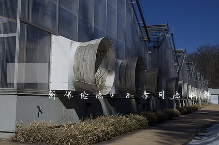 新保险法48条司法解释