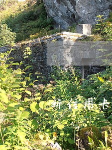 新信用卡逾期一个月了还没还 新信用卡逾期一个月了还没还