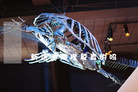 新信逾期修复真的吗 新信逾期修复真的吗