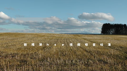 新修井hse法规安全标准