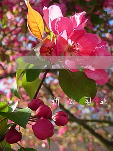 新公司业务主体和法律关系不变 新公司业务主体和法律关系不变