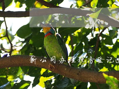 新公司办理税务登记逾期6 新公司办理税务登记逾期6