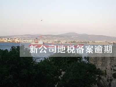 新公司地税备案逾期 新公司地税备案逾期