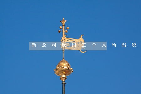新公司没员工个人所得税逾期 新公司没员工个人所得税逾期