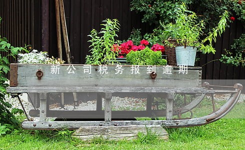 新公司税务报到逾期 新公司税务报到逾期