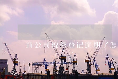 新公司税务登记逾期了怎么办 新公司税务登记逾期了怎么办