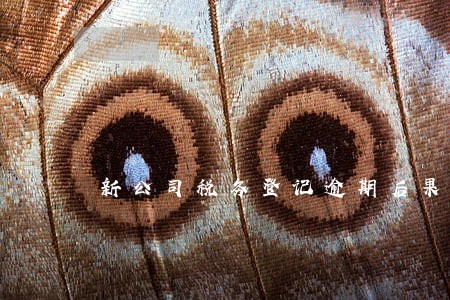 新公司税务登记逾期后果 新公司税务登记逾期后果