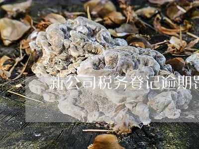 新公司税务登记逾期罚款多少 新公司税务登记逾期罚款多少