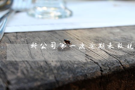 新公司第一次逾期未报税 新公司第一次逾期未报税