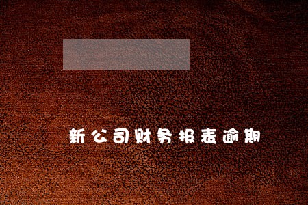 新公司财务报表逾期 新公司财务报表逾期