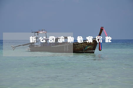 新公司逾期备案罚款 新公司逾期备案罚款