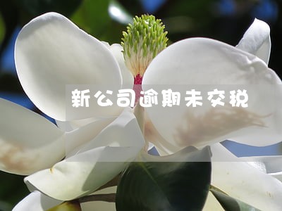 新公司逾期未交税 新公司逾期未交税