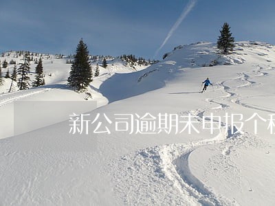 新公司逾期未申报个税和社保 新公司逾期未申报个税和社保