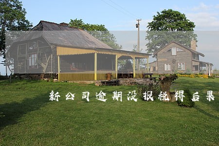 新公司逾期没报税得后果 新公司逾期没报税得后果