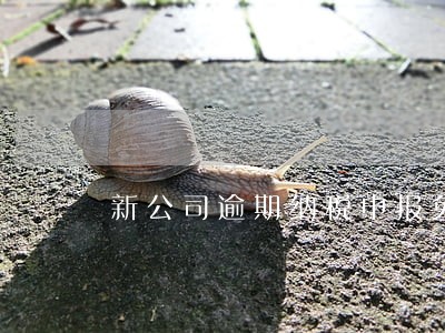 新公司逾期纳税申报免处罚 新公司逾期纳税申报免处罚