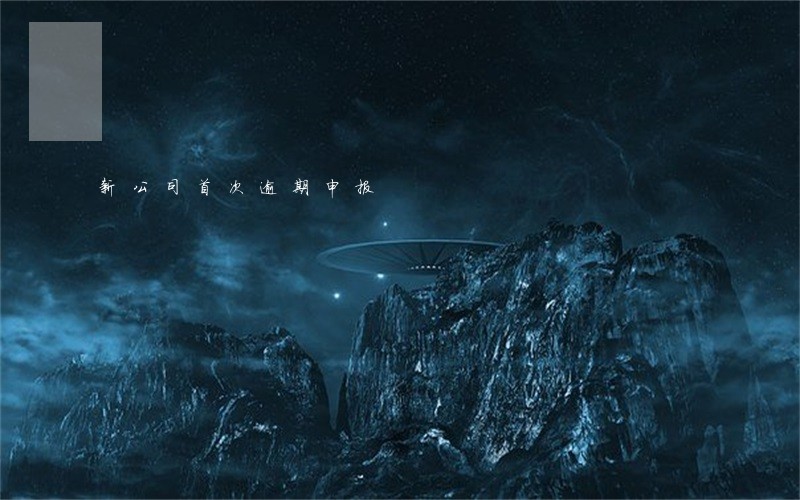 新公司首次逾期申报 新公司首次逾期申报