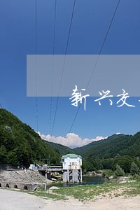 新兴交警将严查这些违法行为 新兴交警将严查这些违法行为