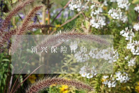 新兴保险律师