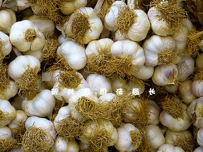 新兴县司法局长