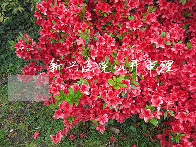 新兴法院公开审理 新兴法院公开审理