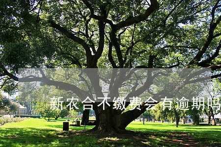 新农合不缴费会有逾期吗