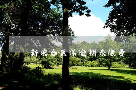 新农合医保逾期未缴费 新农合医保逾期未缴费