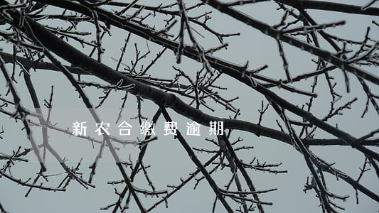 新农合缴费逾期 新农合缴费逾期