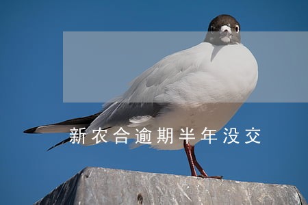 新农合逾期半年没交 新农合逾期半年没交