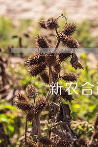 新农合逾期缴费 新农合逾期缴费