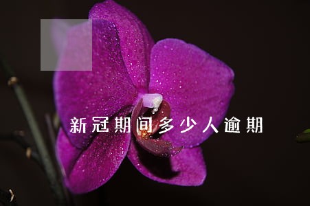 新冠期间多少人逾期 新冠期间多少人逾期