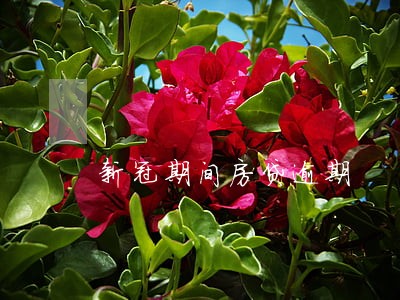 新冠期间房贷逾期 新冠期间房贷逾期