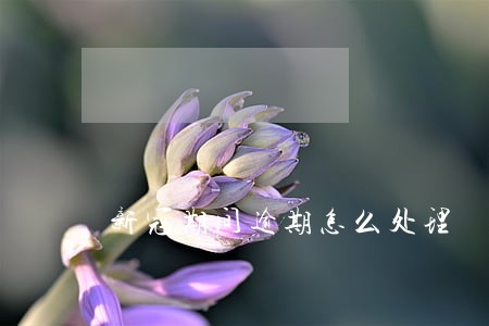 新冠期间逾期怎么处理 新冠期间逾期怎么处理