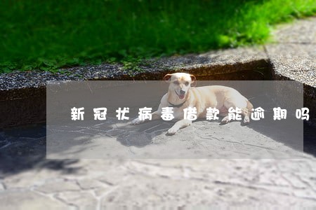 新冠状病毒借款能逾期吗