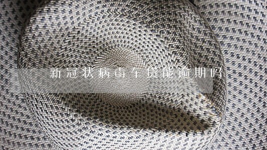新冠状病毒车贷能逾期吗 新冠状病毒车贷能逾期吗