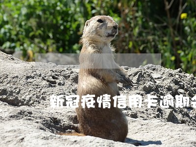 新冠疫情信用卡逾期会上报吗 新冠疫情信用卡逾期会上报吗